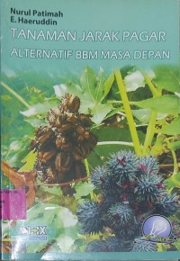 Image of Tanaman Jarak Pagar Alternatif BBM Masa Depan